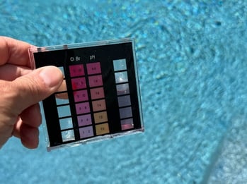 Algae_BLOG-Visual 1