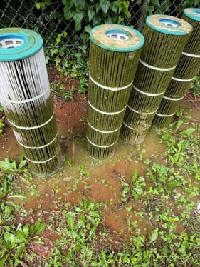 algae filter Vertical Blog Visual