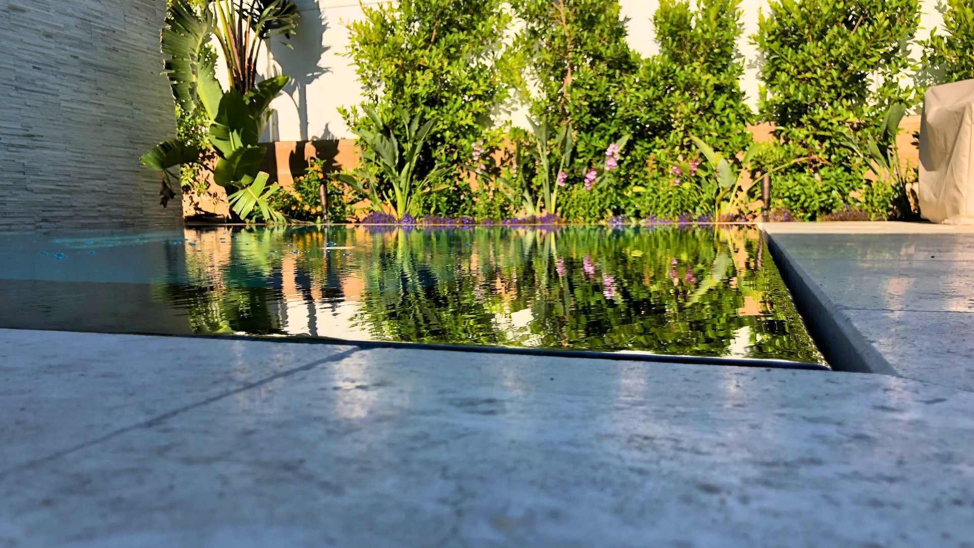 Reflection of lush green plants in the still water of an overflow perimeter spa, surrounded by ceramic pavers.