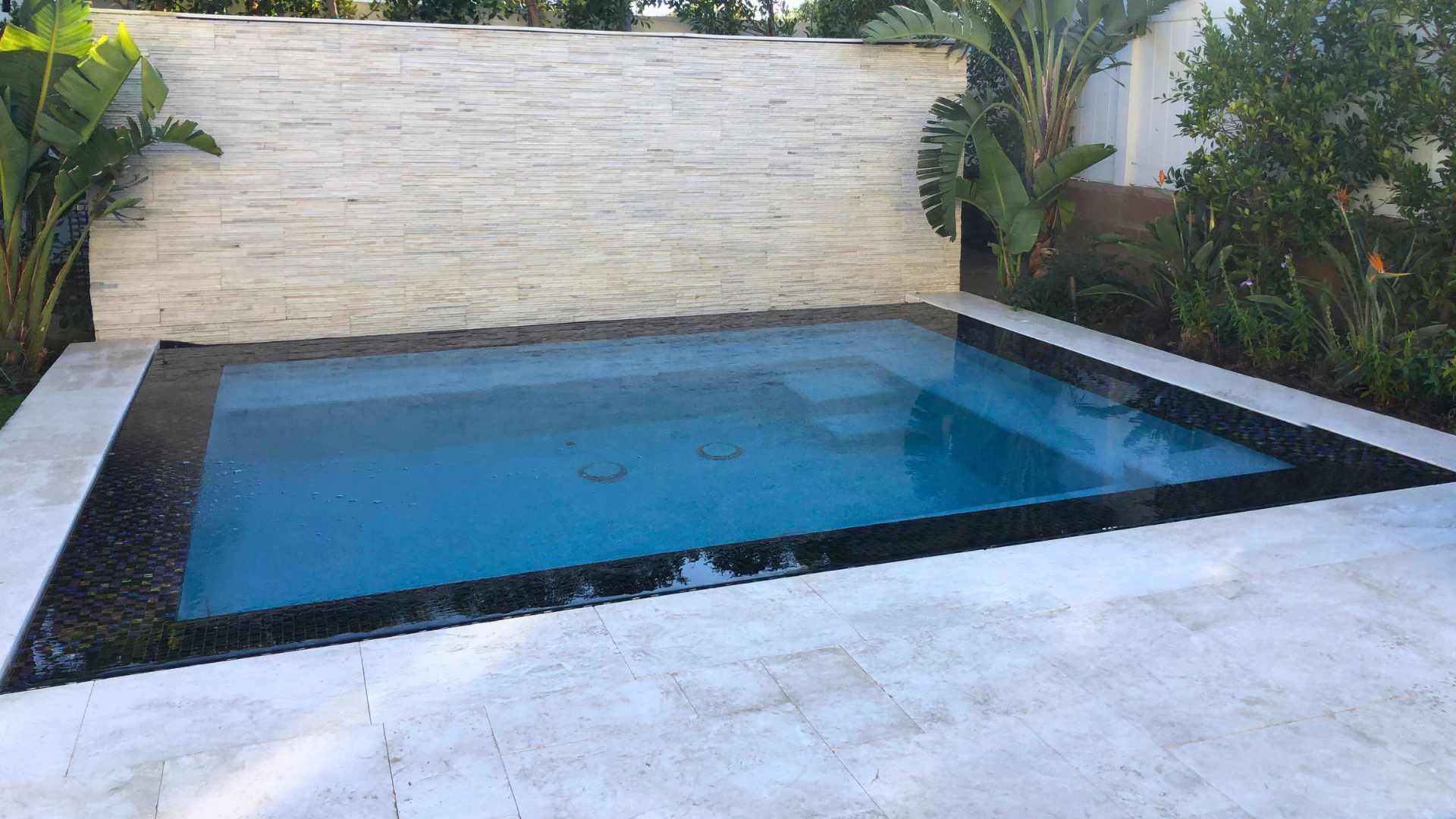 Overflow perimeter spa with a stone water wall and tropical foliage in a modern backyard setting.