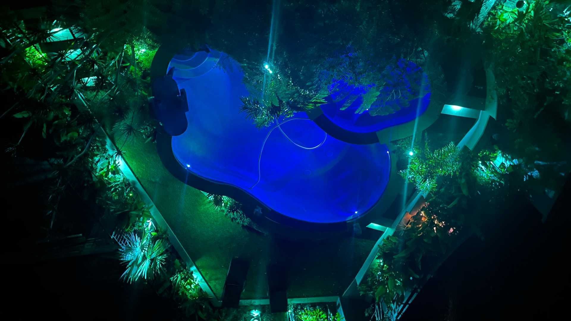 Nighttime aerial view of the illuminated free-form pool and spa, highlighting the vibrant garden lighting.