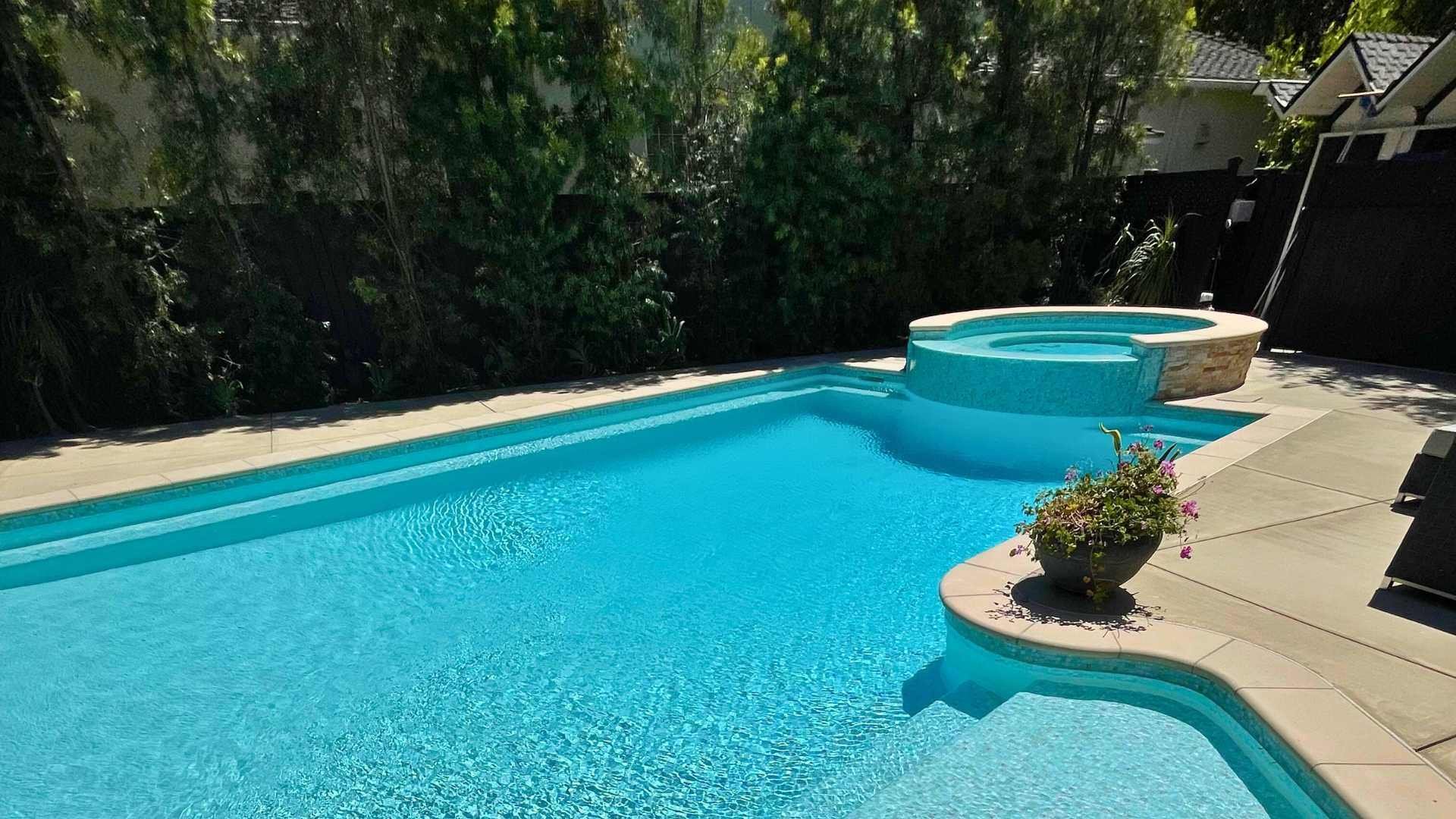 View of the pool with a shallow Baja shelf and a raised spa, surrounded by greenery in a Toluca Lake backyard.