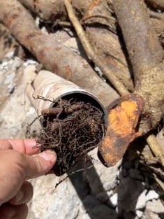 Drainage Vertical Blog Visual (4)