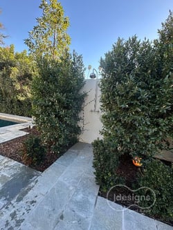 Shower blog 1  Visual