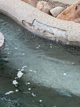 Coping blog5 Vertical Blog Visual