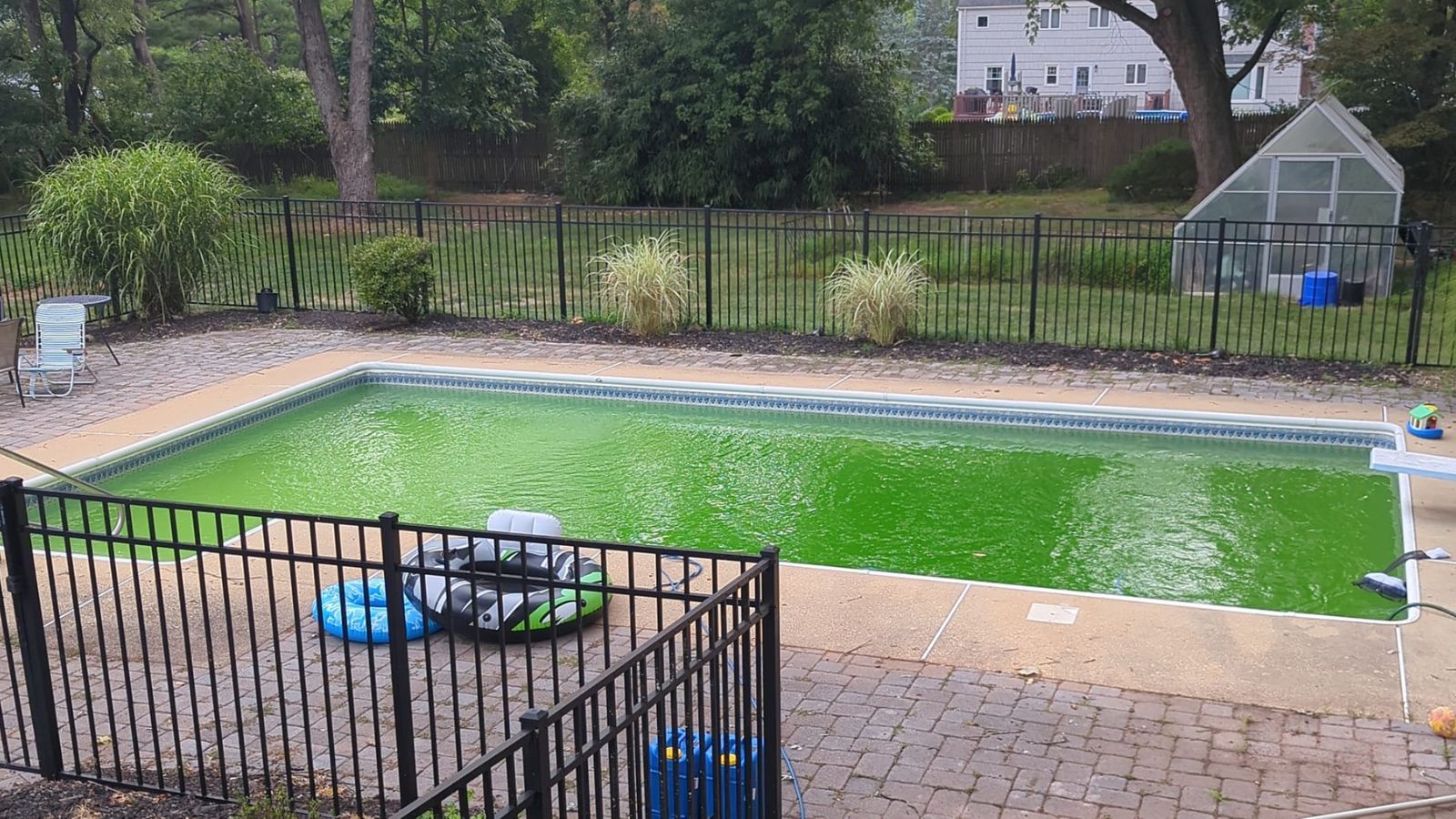 Why Does My Pool Keep Getting Algae—And How to Get Rid of It