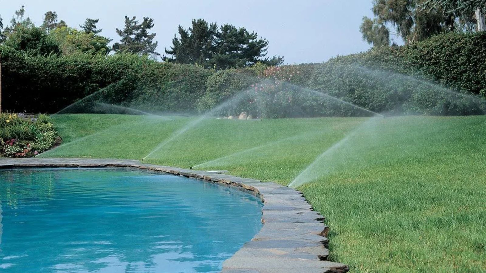 Are Pools a Waste of Water? The Truth About Lawn vs. Pool Usage in LA