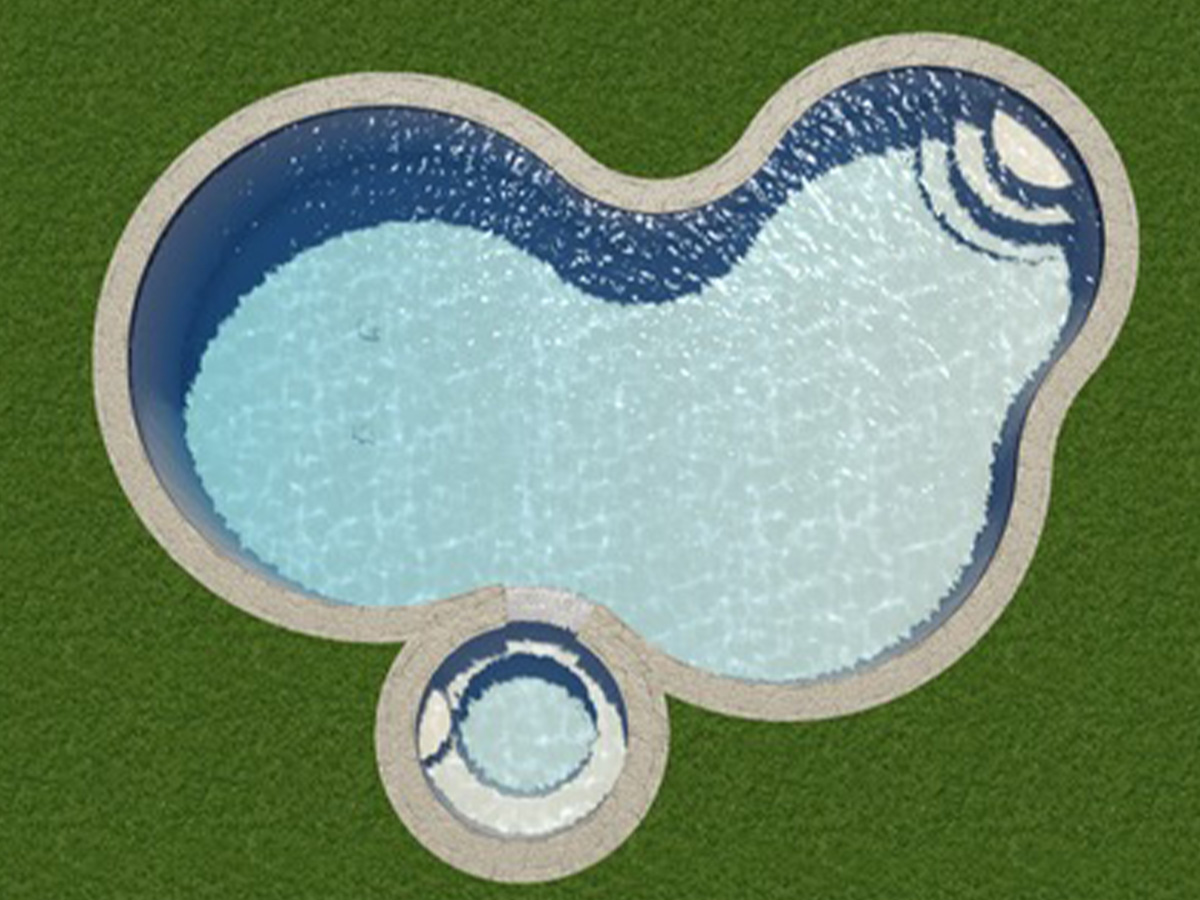 Free Form Pool and Spa
