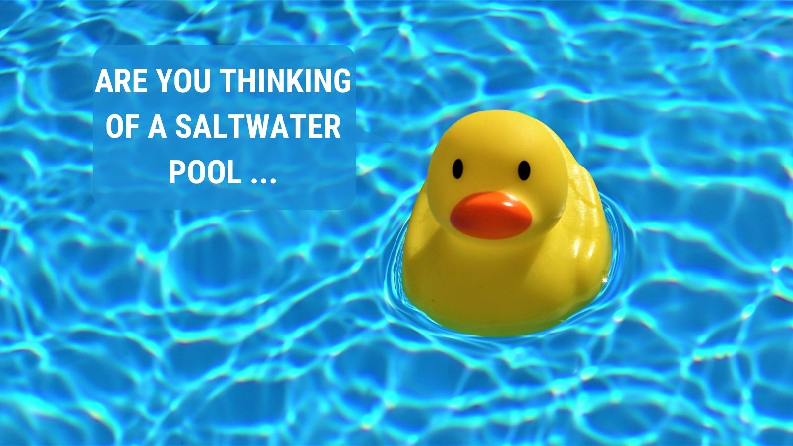 Saltwater Pools: Myths, Problems & Smart Design Solutions
